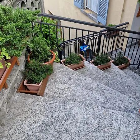 Family Apartamento